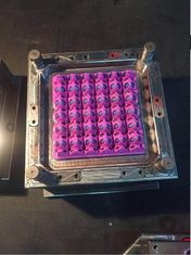 Máquina de poupança de energia feita sob encomenda da modelação por injeção para o molde plástico da bandeja do ovo